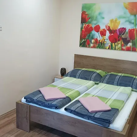 Elza Apartman Appartement
